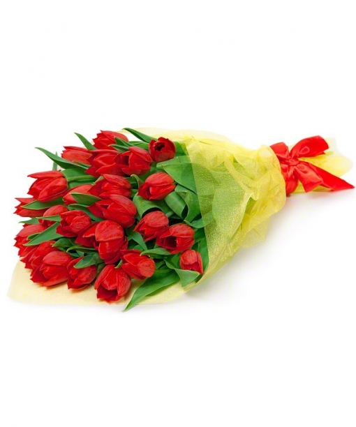 Ключ от сердца 1